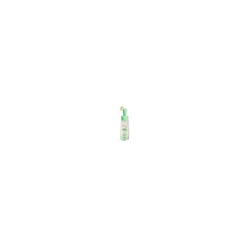 Chicco Idc Institute Aloe Vera Foam Cleanser 240Ml